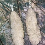 Boho Leather Feather Earrings